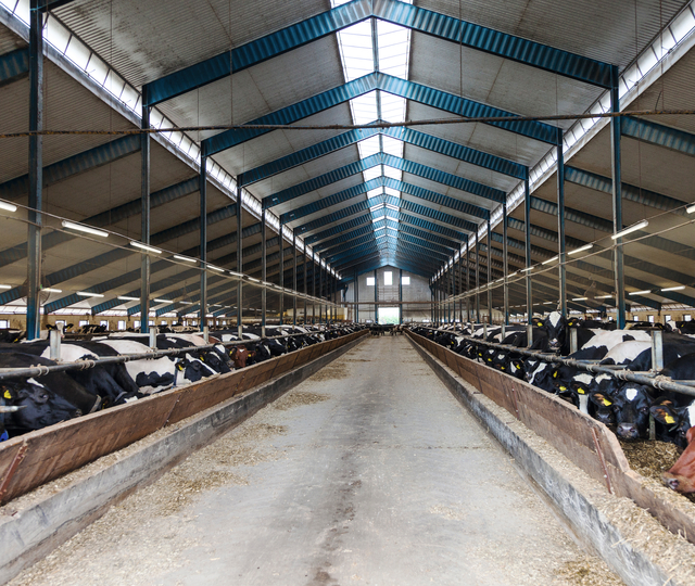 Damp Proof luminaires